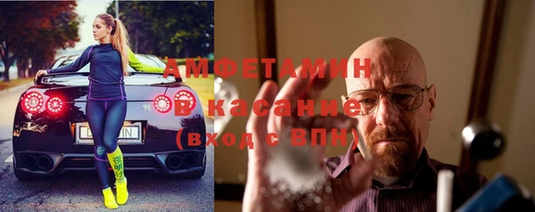 шишки Аркадак