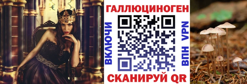 Псилоцибиновые грибы Psilocybe Чухлома